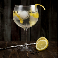 SEASN Gin og Tonic drinkskasse